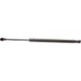 Autopart International Trunk Strut TFS613579