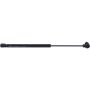 Autopart International Back Glass Lift Support TFS613581