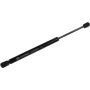 Autopart International Hood Strut TFS613593