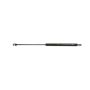 Autopart International Trunk Strut TFS613613
