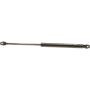 Autopart International Trunk Strut TFS613673