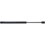 Autopart International Hood Strut TFS613710