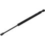 Autopart International Trunk Strut TFS613733