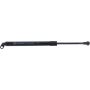 Autopart International Trunk Strut TFS613757