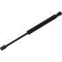 Autopart International Trunk Strut TFS613790
