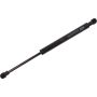 Autopart International Trunk Strut TFS613815