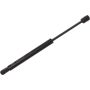 Autopart International Trunk Strut TFS613837