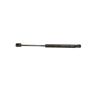 Autopart International Trunk Strut TFS613838