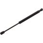 Autopart International Trunk Strut TFS613841