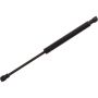 Autopart International Trunk Strut TFS613844
