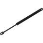 Autopart International Trunk Strut TFS613845