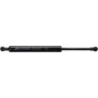 Autopart International Trunk Strut TFS613867
