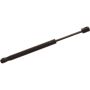 Autopart International Trunk Strut TFS613868