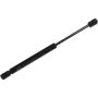 Autopart International Engine Lid Lift Support TFS613875
