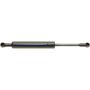 Autopart International Hatch Strut TFS613903