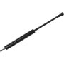 Autopart International Trunk Strut TFS613913