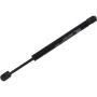 Autopart International Trunk Strut TFS613916