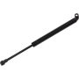 Autopart International Trunk Strut TFS613989