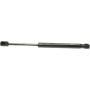 Autopart International Hood Strut TFS613999