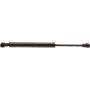 Autopart International Trunk Strut TFS614013