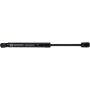 Autopart International Trunk Strut TFS614017
