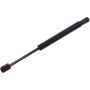 Autopart International Trunk Strut TFS614089