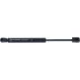 Autopart International Trunk Strut TFS614097