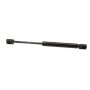 Autopart International Trunk Strut TFS614108