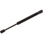 Autopart International Trunk Strut TFS614142