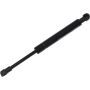 Autopart International Trunk Strut TFS614403