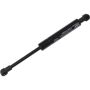 Autopart International Trunk Strut TFS614412