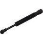 Autopart International Engine Lid Lift Support TFS614479