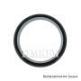 TIMKEN 5274 Teflon Seal And Gasket Kit