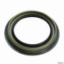 TIMKEN 710176 Seal
