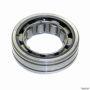 TIMKEN M1305GGTV Cylindrical Bearing
