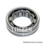 TIMKEN M1305GGTV Cylindrical Bearing