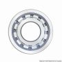 TIMKEN MR1205EL Cylindrical Bearing