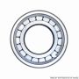 TIMKEN MU1306TDM Cylindrical Bearing