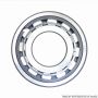 TIMKEN MUS1307UM Cylindrical Bearing