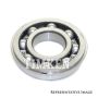 TIMKEN N309L Single Row Ball Bearing