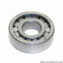 TIMKEN RU8509TM Cylindrical Bearing