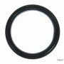 TIMKEN SL260008 Seal