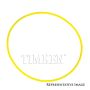 TIMKEN SL260018 Seal
