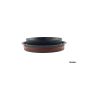 TIMKEN SL260462 Seal