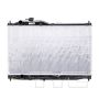 TYC Products 13016 Radiator Assemb
