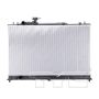 TYC Products 13156 Radiator Assembly