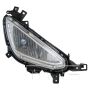 TYC Products 19-6045-00-9 CAPA Certified Fog Light Assembly