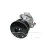 TYC Products 20080 A/C Compressor