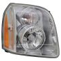TYC Products 20-15475-00-9 Head Lamp