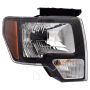 TYC Products 20-9075-80 Headlight Assembly